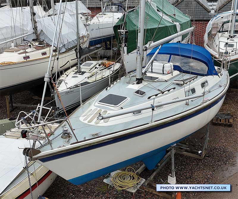 Westerly fulmar for sale