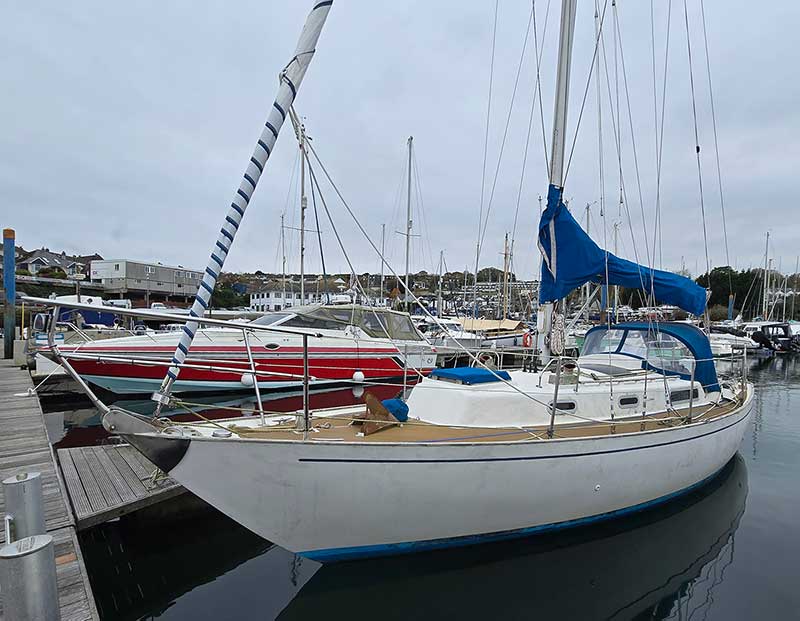 Rustler 31 for sale