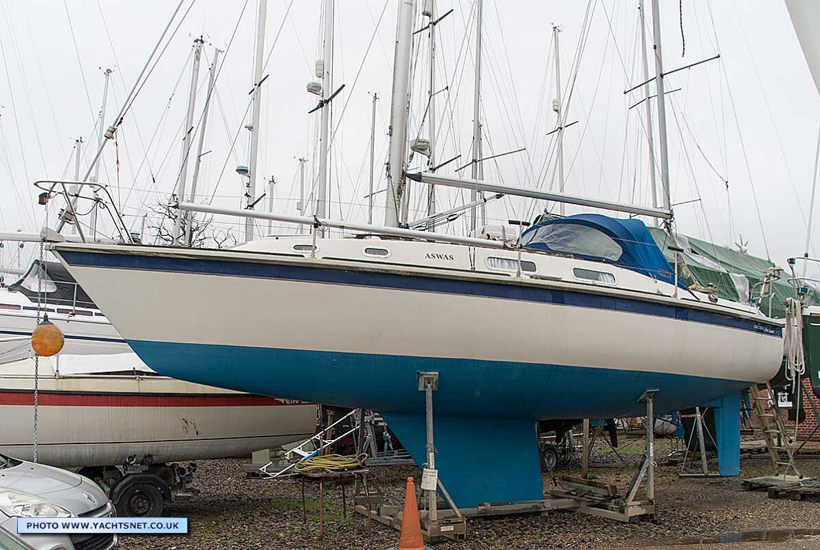 ashore-fwd-ss