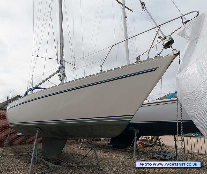 Ashore june 2025
